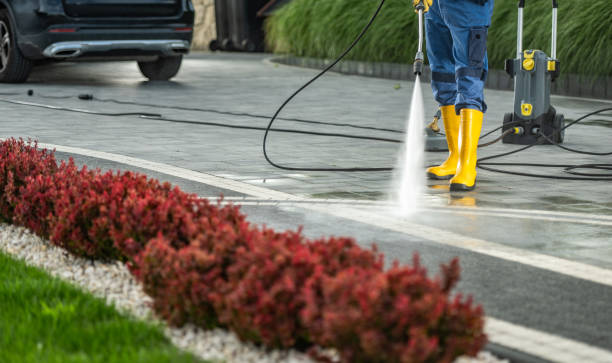 Best Concrete Pressure Washing  in Hot Springs, AR